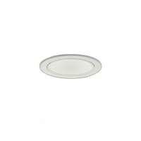 大光電機(DAIKO) LZD-9044FWW8 ダウンライト 埋込穴φ100 無線 調色調光(調光器別売) LED ホワイト