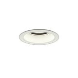 大光電機(DAIKO) LZD-9048FWB4 ダウンライト 埋込穴φ125 調色調光(調光器別売) LED ホワイト