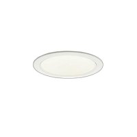 大光電機(DAIKO) LZD-9049FWB4 ダウンライト 埋込穴φ125 調色調光(調光器別売) LED ホワイト