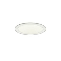 大光電機(DAIKO) LZD-9049FWB8 ダウンライト 埋込穴φ125 無線 調色調光(調光器別売) LED ホワイト