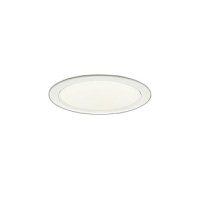 大光電機(DAIKO) LZD-9049FWW4 ダウンライト 埋込穴φ125 調色調光(調光器別売) LED ホワイト