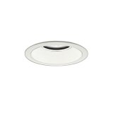 大光電機(DAIKO) LZD-9053FWB4 ダウンライト 埋込穴φ125 調色調光(調光器別売) LED ホワイト