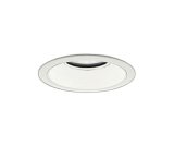 大光電機(DAIKO) LZD-9053FWB4 ダウンライト 埋込穴φ125 調色調光(調光器別売) LED ホワイト