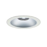 大光電機(DAIKO) LZD-9069WWB8 ダウンライト 埋込穴φ200 無線 調光(調光器別売) 昼白色 LED リニューアル用 ホワイト 受注生産品[§]