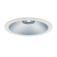 大光電機(DAIKO) LZD-9071WWB3 ダウンライト 埋込穴φ250 非調光 昼白色 LED ホワイト 受注生産品[§]