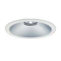 大光電機(DAIKO) LZD-9071WWB8 ダウンライト 埋込穴φ250 無線 調光(調光器別売) 昼白色 LED ホワイト 受注生産品[§]