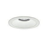 大光電機(DAIKO) LZD-9073NWB8 ダウンライト 埋込穴φ175 無線 調光(調光器別売) 白色 LED リニューアル用 ホワイト 受注生産品[§]