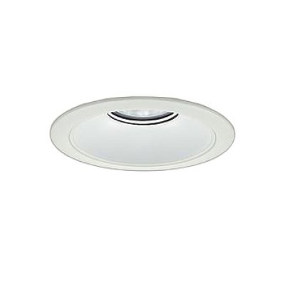 画像1: 大光電機(DAIKO) LZD-9073WWB3 ダウンライト 埋込穴φ175 非調光 昼白色 LED リニューアル用 ホワイト 受注生産品[§]