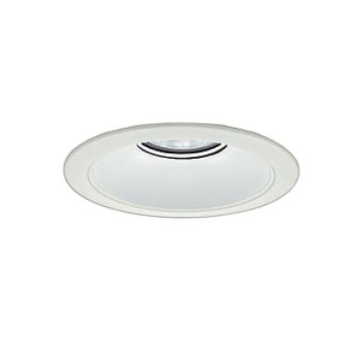 画像1: 大光電機(DAIKO) LZD-9073WWB8 ダウンライト 埋込穴φ175 無線 調光(調光器別売) 昼白色 LED リニューアル用 ホワイト 受注生産品[§]