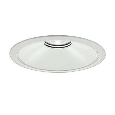 画像1: 大光電機(DAIKO) LZD-9076NWB3 ダウンライト 埋込穴φ250 非調光 白色 LED ホワイト 受注生産品[§]