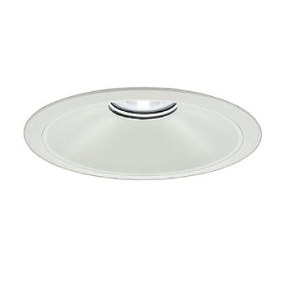 画像1: 大光電機(DAIKO) LZD-9076WWB8 ダウンライト 埋込穴φ250 無線 調光(調光器別売) 昼白色 LED ホワイト 受注生産品[§]