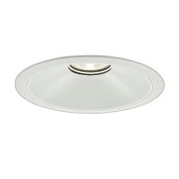 大光電機(DAIKO) LZD-9077AWB3 ダウンライト 埋込穴φ250 非調光 温白色 LED ホワイト 受注生産品[§]