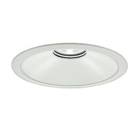 大光電機(DAIKO) LZD-9077NWB3 ダウンライト 埋込穴φ250 非調光 白色 LED ホワイト 受注生産品[§]