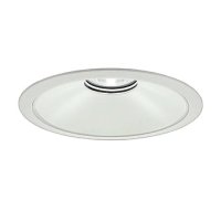 大光電機(DAIKO) LZD-9077NWB8 ダウンライト 埋込穴φ250 無線 調光(調光器別売) 白色 LED ホワイト 受注生産品[§]