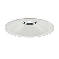 大光電機(DAIKO) LZD-9077WWB3 ダウンライト 埋込穴φ250 非調光 昼白色 LED ホワイト 受注生産品[§]