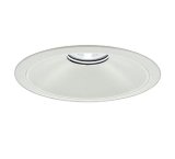 大光電機(DAIKO) LZD-9077WWB8 ダウンライト 埋込穴φ250 無線 調光(調光器別売) 昼白色 LED ホワイト 受注生産品[§]