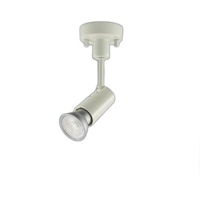 画像1: 大光電機(DAIKO) LZS-91300XW スポットライト 本体のみ ランプ別売 フランジタイプ ホワイト