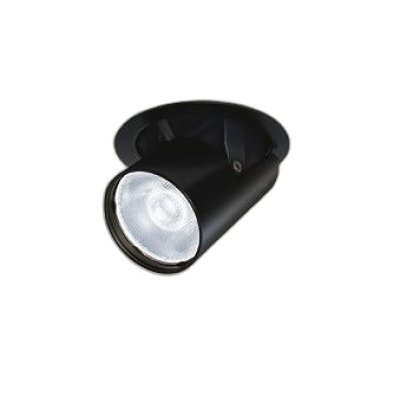 画像1: 大光電機(DAIKO) LZD-9136FBM4 ダウンライト 埋込穴φ100 調光(調光器別売) LED ユニバーサル ブラック 受注生産品[§]