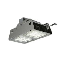 大光電機(DAIKO) LZB-92959WSF ベースライト 非調光 電源内蔵 昼白色 LED シルバーアルマイト