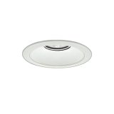 大光電機(DAIKO) LZD-93541NWBE ダウンライト φ埋込穴175 電源別売 白色 LED リニューアル用 ホワイト