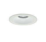 大光電機(DAIKO) LZD-93541WWBE ダウンライト φ埋込穴175 電源別売 昼白色 LED リニューアル用 ホワイト