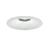 大光電機(DAIKO) LZD-93542NWBE ダウンライト φ埋込穴200 電源別売 白色 LED リニューアル用 ホワイト