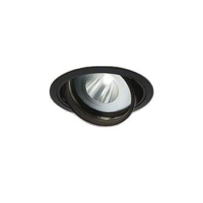 画像1: 大光電機(DAIKO) LZD-93771MBW ダウンライト φ埋込穴125 電源別売 高彩色 LED ユニバーサル 生鮮食品用 ブラック