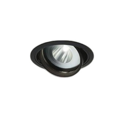 画像1: 大光電機(DAIKO) LZD-93771PBM ダウンライト φ埋込穴125 電源別売 高彩色 LED ユニバーサル 生鮮食品用 ブラック