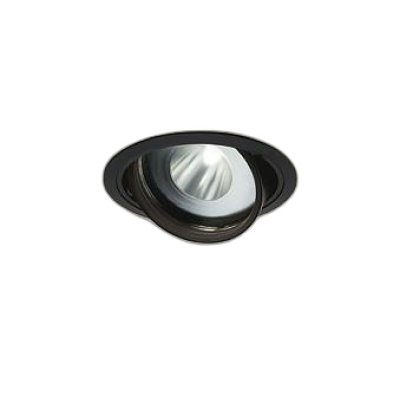 画像1: 大光電機(DAIKO) LZD-93772MBM ダウンライト φ埋込穴125 電源別売 高彩色 LED ユニバーサル 生鮮食品用 ブラック