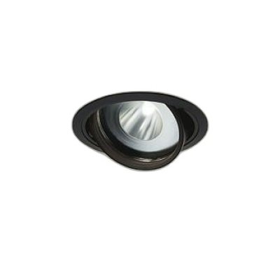 画像1: 大光電機(DAIKO) LZD-93772TBM ダウンライト φ埋込穴125 電源別売 高彩色 LED ユニバーサル 生鮮食品用 ブラック