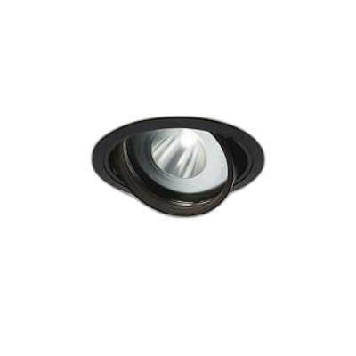 画像1: 大光電機(DAIKO) LZD-93772TBW ダウンライト φ埋込穴125 電源別売 高彩色 LED ユニバーサル 生鮮食品用 ブラック