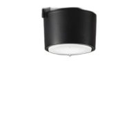 大光電機(DAIKO) LZD-93800XB ダウンライト 本体のみ ランプ別売 ブラック