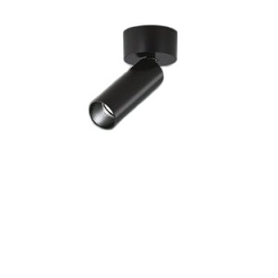 画像1: 大光電機(DAIKO) LZS-93420XB スポットライト 本体のみ ランプ別売 フランジタイプ ブラック