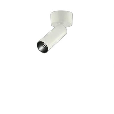 画像1: 大光電機(DAIKO) LZS-93420XW スポットライト 本体のみ ランプ別売 フランジタイプ ホワイト