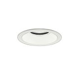 大光電機(DAIKO) LZW-9025YWB3 ダウンライト 埋込穴φ150 非調光 電源内蔵 電球色 LED 軒下用 防雨形 ホワイト 受注生産品[§]