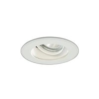 大光電機(DAIKO) LZW-9147AWM3 ダウンライト 埋込穴φ150 非調光 電源内蔵 温白色 LED 軒下用 防雨形 ホワイト