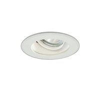 大光電機(DAIKO) LZW-9147AWM3 ダウンライト 埋込穴φ150 非調光 電源内蔵 温白色 LED 軒下用 防雨形 ホワイト