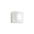 大光電機(DAIKO) LZW-93162WW(ランプ別梱) アウトドア ブラケット 非調光 昼白色 LED 業務浴室対応 防雨・防湿形 ホワイト
