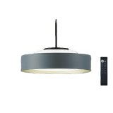 大光電機(DAIKO) DPN-42377 ペンダント 10畳 調色調光 LED内蔵 プルレス リモコン付 フランジタイプ ネイビーグレーサテン