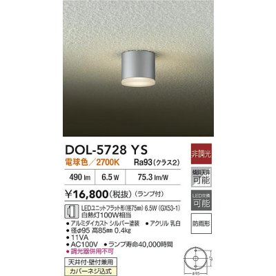画像2: 大光電機(DAIKO) DOL-5728YS アウトドアライト 軒下シーリング 非調光 電球色 LED ランプ付 防雨形 シルバー