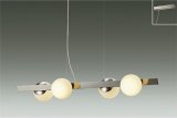 大光電機(DAIKO) DPN-42626YG ペンダント 調光(調光器別売) 電球色 LED ランプ付 フランジタイプ ホワイトブロンズ