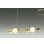 画像1: 大光電機(DAIKO) DPN-42627YG ペンダント 調光(調光器別売) 電球色 LED ランプ付 フランジタイプ 真鍮色 (1)