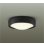 画像1: 大光電機(DAIKO) DEG-42522Y 防災照明 非常灯 非調光 電球色 LED内蔵 防雨形 ブラック (1)