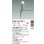 画像2: 大光電機(DAIKO) DWP-42748Y アウトドアライト ポール灯 非調光 電球色 LED ランプ付 防雨形 シルバー (2)