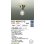 画像2: 大光電機(DAIKO) DCL-40010YG 小型シーリング 調光(調光器別売) 電球色 LED ランプ付 (2)