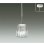 画像1: 大光電機(DAIKO) DPN-38210YG ペンダント 調光(調光器別売) 電球色 LED ランプ付 フランジタイプ クローム (1)