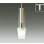 画像1: 大光電機(DAIKO) DPN-41188YG ペンダント 調光(調光器別売) 電球色 LED ランプ付 プラグタイプ メープル (1)