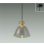 画像1: 大光電機(DAIKO) DPN-42641Y ペンダント 非調光 電球色 LED内蔵 フランジタイプ 真鍮色 (1)