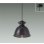 画像1: 大光電機(DAIKO) DPN-42643Y ペンダント 非調光 電球色 LED内蔵 フランジタイプ ブラック (1)
