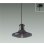 画像1: 大光電機(DAIKO) DPN-42647Y ペンダント 非調光 電球色 LED内蔵 フランジタイプ ブラック (1)